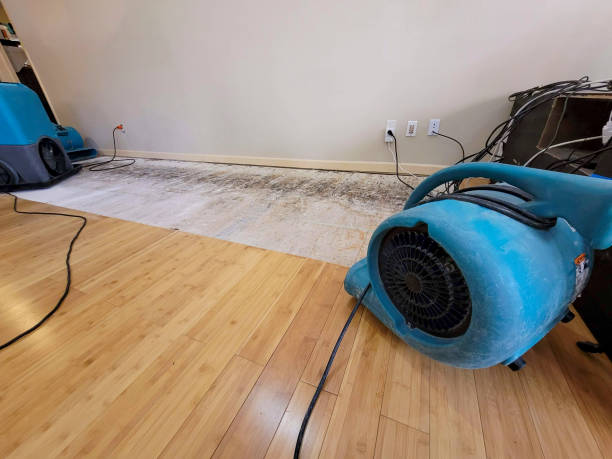 Professional Ceiling Water Damage Repair technician working in Addison, MI