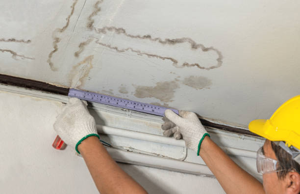 Affordable Ceiling Water Damage Repair solutions in Addison, MI